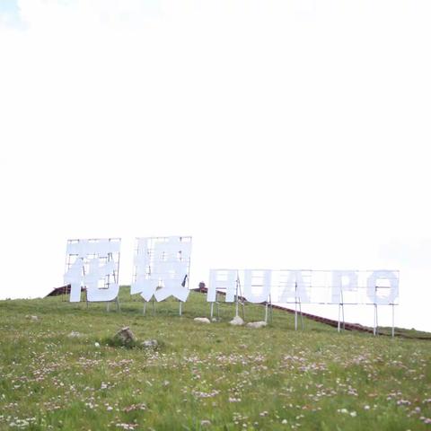 夏遇花坡  邂逅太岳沁源