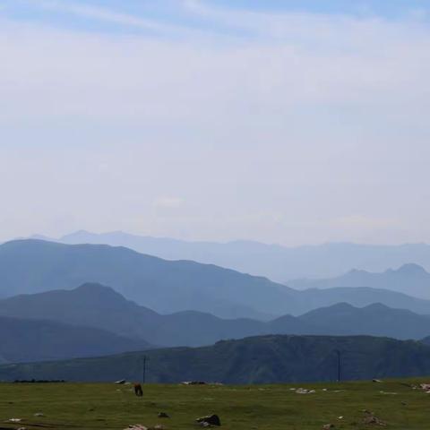 登攀金河峡拜古寺思幽情 驻留草甸观山花赞天地宽