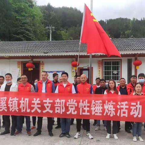 土溪镇机关党支部组织开展"第34个爱国卫生月"党性锤炼活动