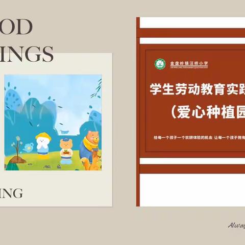 许美好愿望  献绿色爱心——记金盘岭镇汪桥小学爱心种植园实践活动