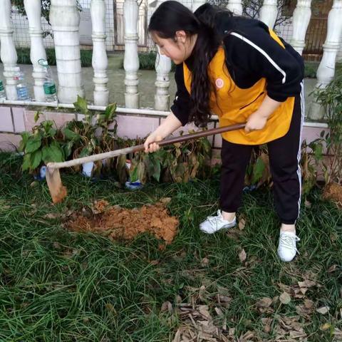 种植梦想，共同成长💪