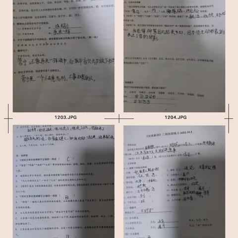 初一12班2组语文作业展示