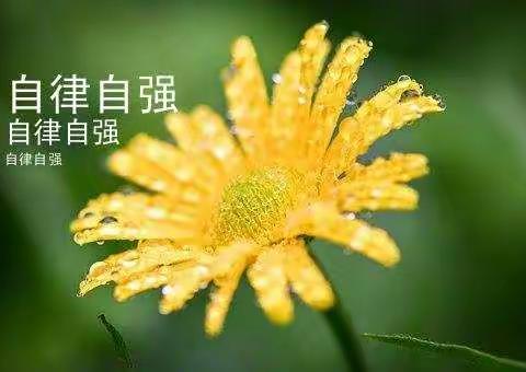 自强自律——记七年级13班团课