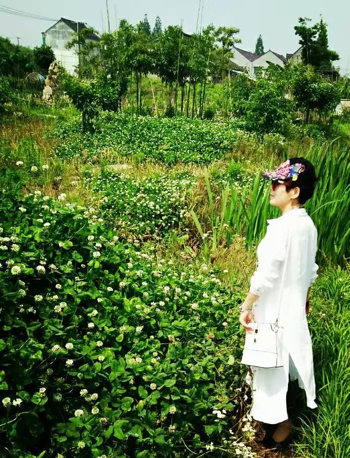 秦望山脚下的百草园