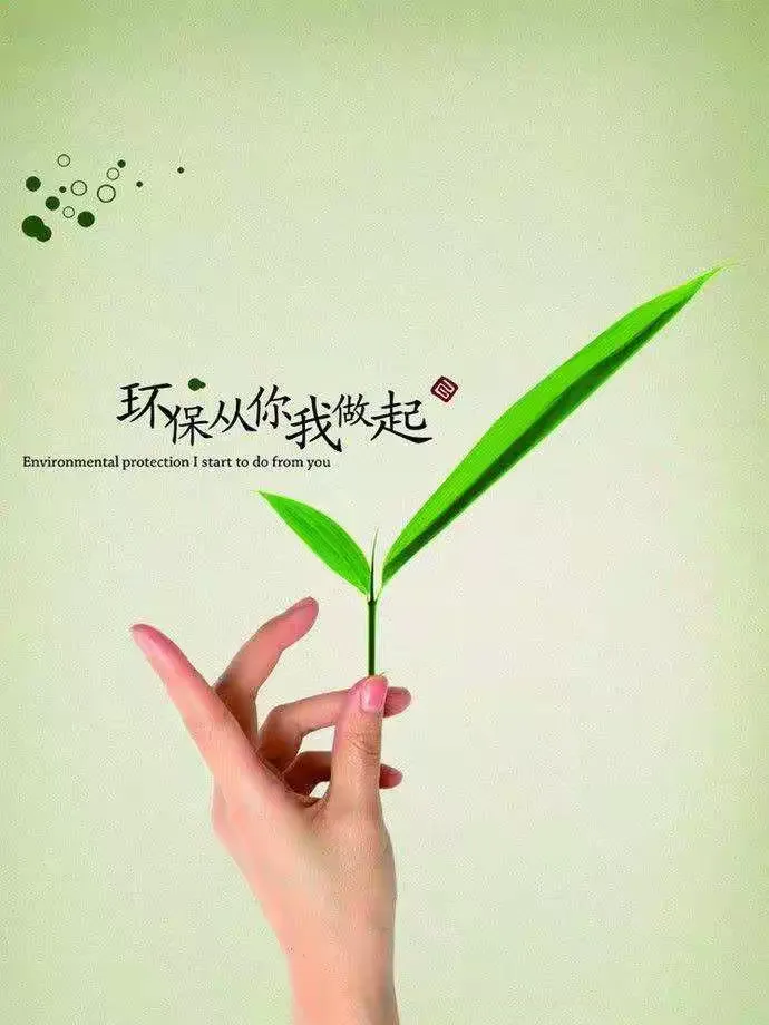 世界环境日，保护环境从我做起