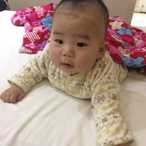 我的两宝贝