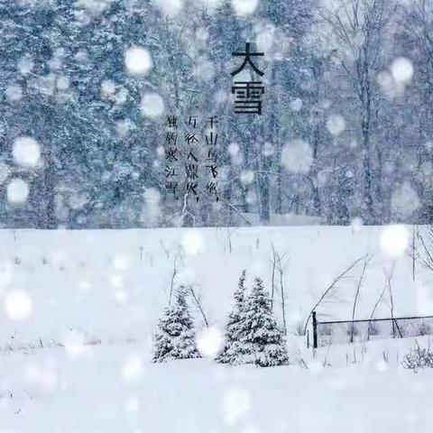 大鲁道小学二十四节气之“大雪”节气校本活动