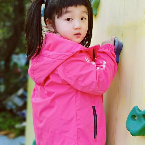 海棠班三月小记