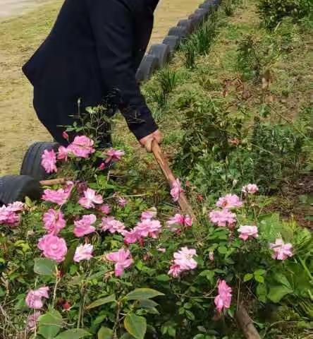 防疫有我，洁美家园