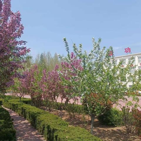 【聚焦1238战略】维护国家安全，我们都是主角！诸城市树一中学开展“全民国家安全教育日”主题活动