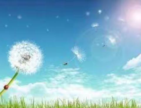 【智育】特别的日子，精彩的生活——沙沟小学线上综合素养活动