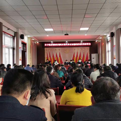 “集中接待”变“下沉走访”                ——长宁镇组织县镇人大代表开展走访选民活动