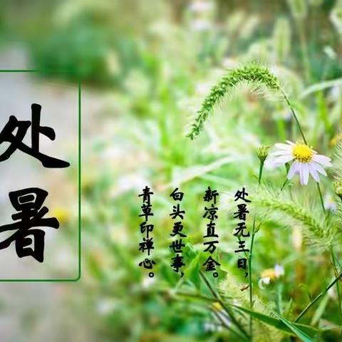 五十四所幼儿园小六班——《处暑时节》