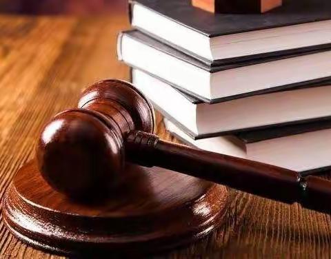 走进人民法院     感受司法文化