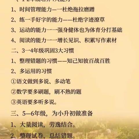 小学阶段能力培养规划