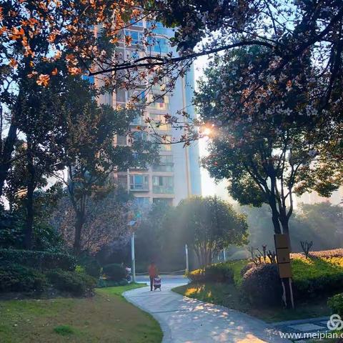 春天来了，加油武汉