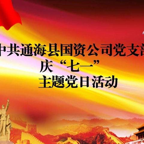 “悟初心、守初心、践初心”-县国资公司党支部开展“庆七一”主题党日活动