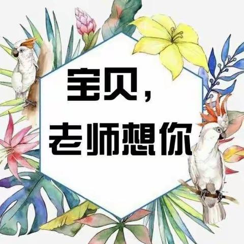 用心陪伴 “隔屏”不隔爱——第四幼儿园中二班线上见面会