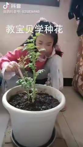 祝大家五一节快乐五一劳动光荣