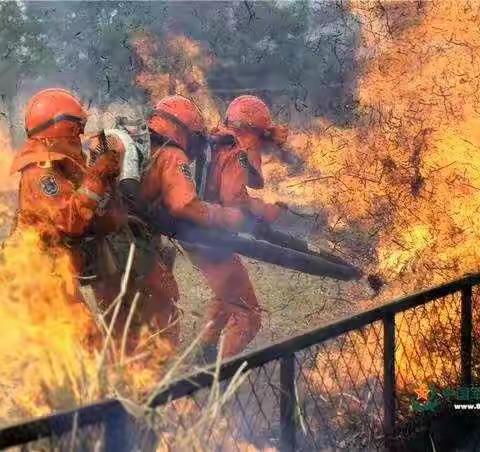 珍爱生命，共筑平安——实幼走进无为消防大队