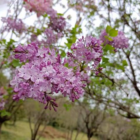 当有凌云志 不负少年时