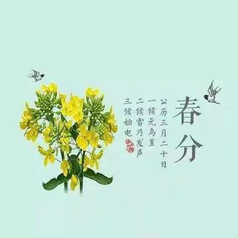 彗心木子的美篇