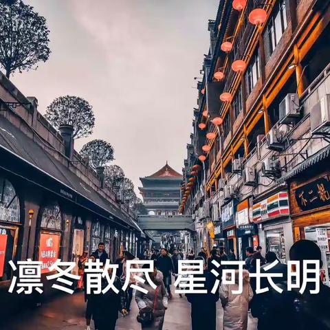 凛冬散尽·星河长明