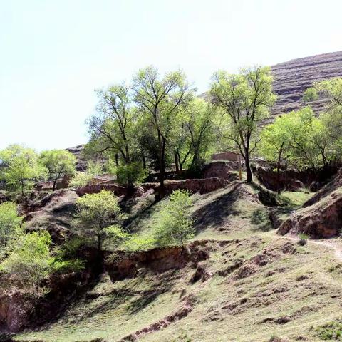 远山近树皆有情——走访双头村掠影