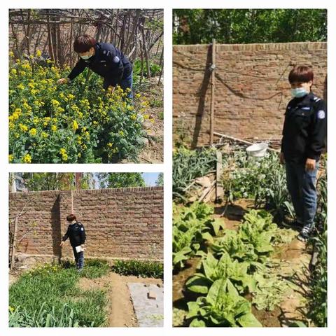 罂粟踏查，我们在行动