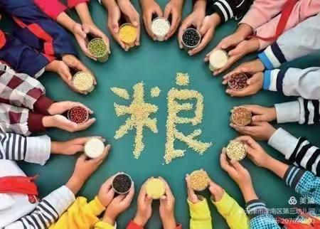 节约粮食 杜绝浪费——新县镇四合村小学开展节约粮食系列活动