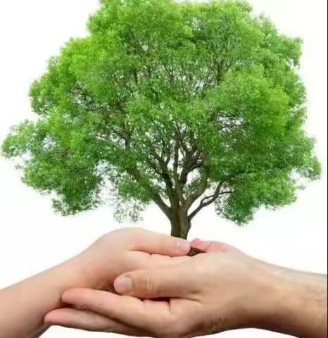 家校共育—让孩子的人生幸福而有意义—华侨实验学校二年级三班家长心得