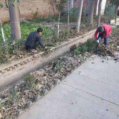 药惠村人居环境冬季战役整治