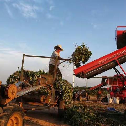 人生在勤，不索何获？——金华市第十四中学        七（1）班诸葛心蕊