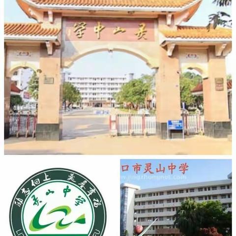 共"课"时艰停课不停学不停教一一灵中物理组网络教学总结