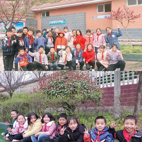 植树节，守护绿色——青羊驿小学主题活动