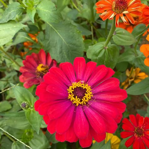 踏青～46班趣游大鹏童话部落农趣园