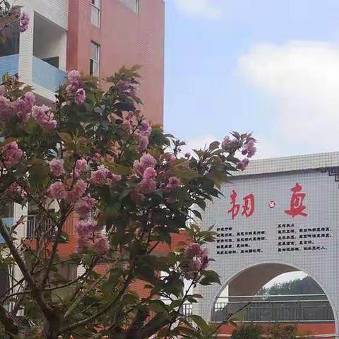 春暖花开日 正是复学时 ——清流县城关中学初三有序开学