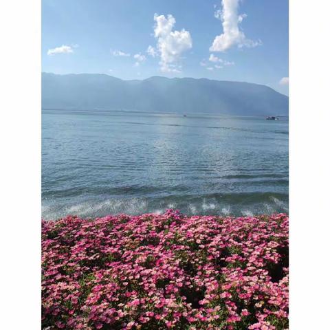 2022年初冬滇西游