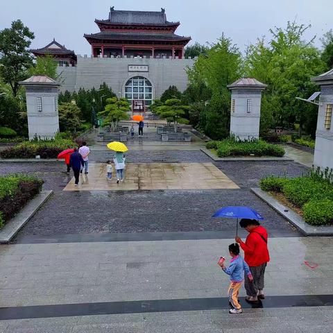 夏雨