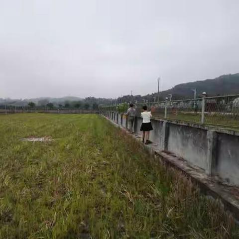 理财青青草，财理青青草