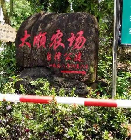 随意周末（一）