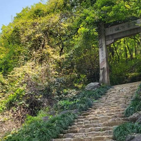 徒步采风迎清明，远足踏青诗朗诵——金师附小四(12)班寻春集小组活动