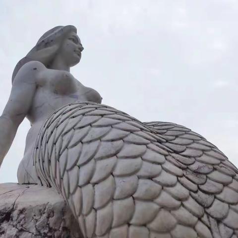 🧜‍♀️美人鱼🧜‍♂️