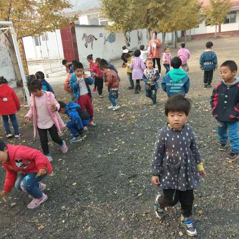 西花院中心幼儿园《宝贝们的美丽金秋》