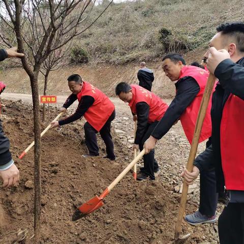 平利县工业集中区“为青山添绿，为党旗添彩”主题党日活动