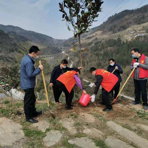 县工业集中区积极开展义务植树活动