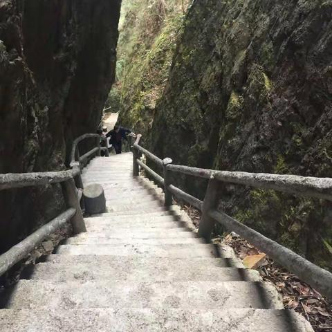 顾云轩的快乐寒假
