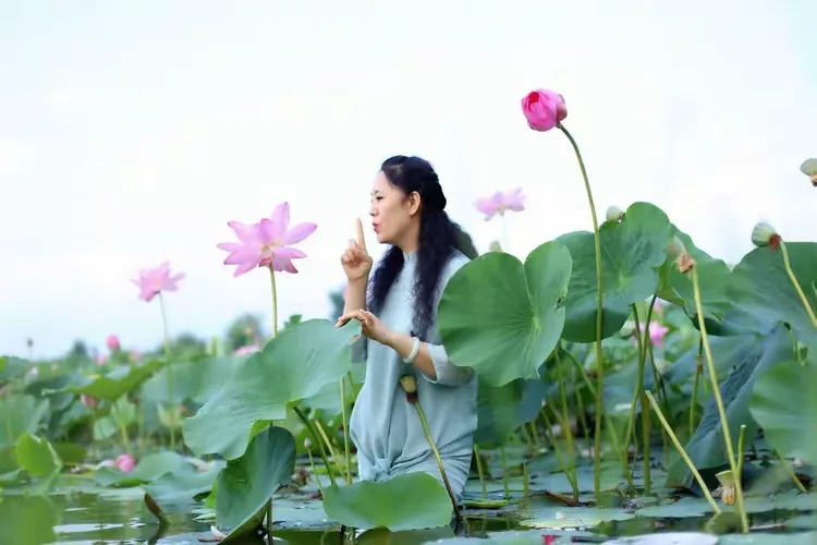 愿做菩萨那朵莲