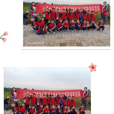 小博士幼儿园——大四班 走进“毛豆植物园”