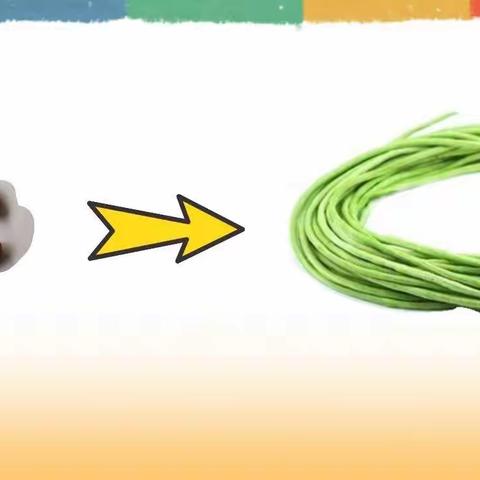 豆变豇豆——中五班生成课程